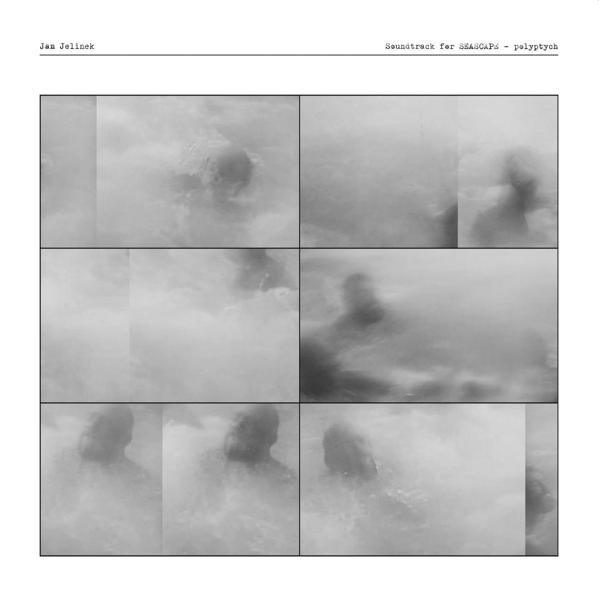 Afbeelding van Jan Jelinek - Soundtrack For SEASCAPE - Polyptych