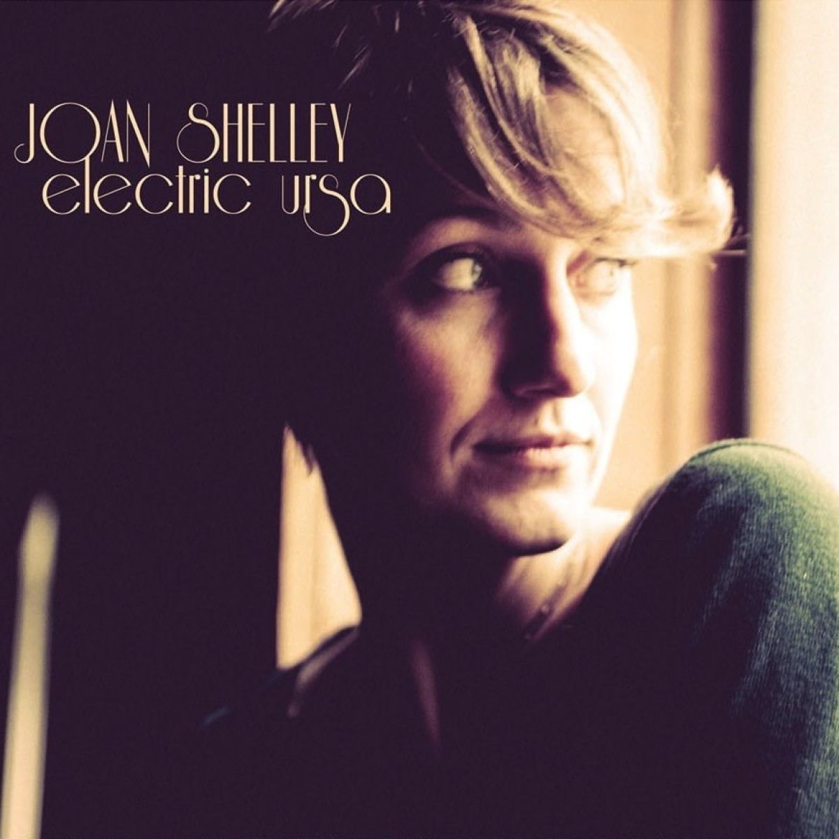Joan Shelley - Electric Ursa
