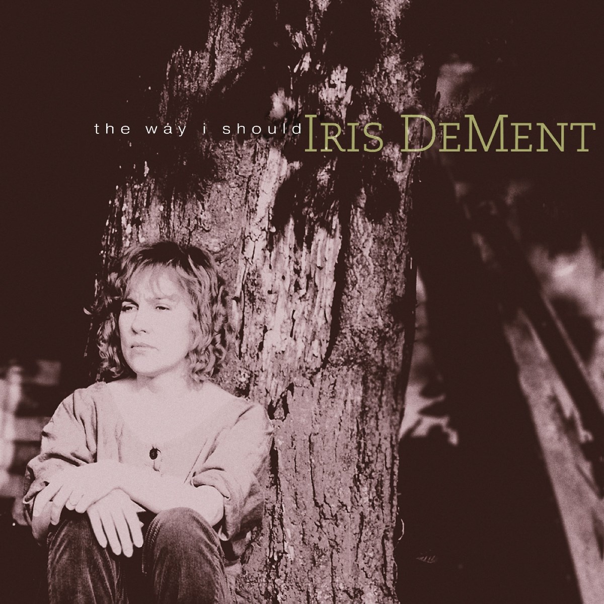 Afbeelding van Iris Dement - The Way I Should