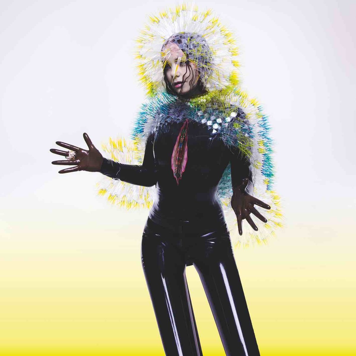Afbeelding van Björk - Vulnicura