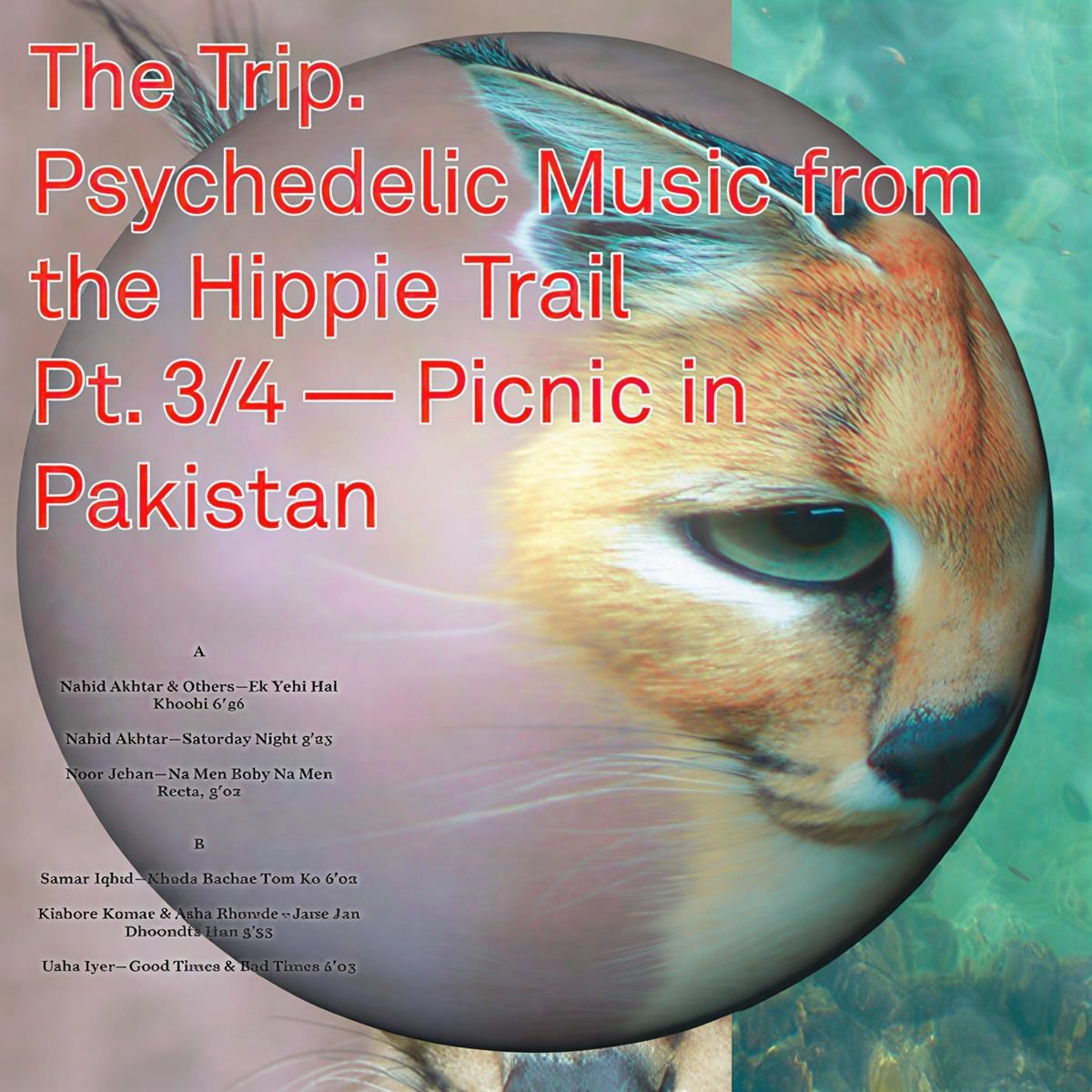 Afbeelding van Various Artists - Trip 3 Psychedelic Music From The Hippie Trail