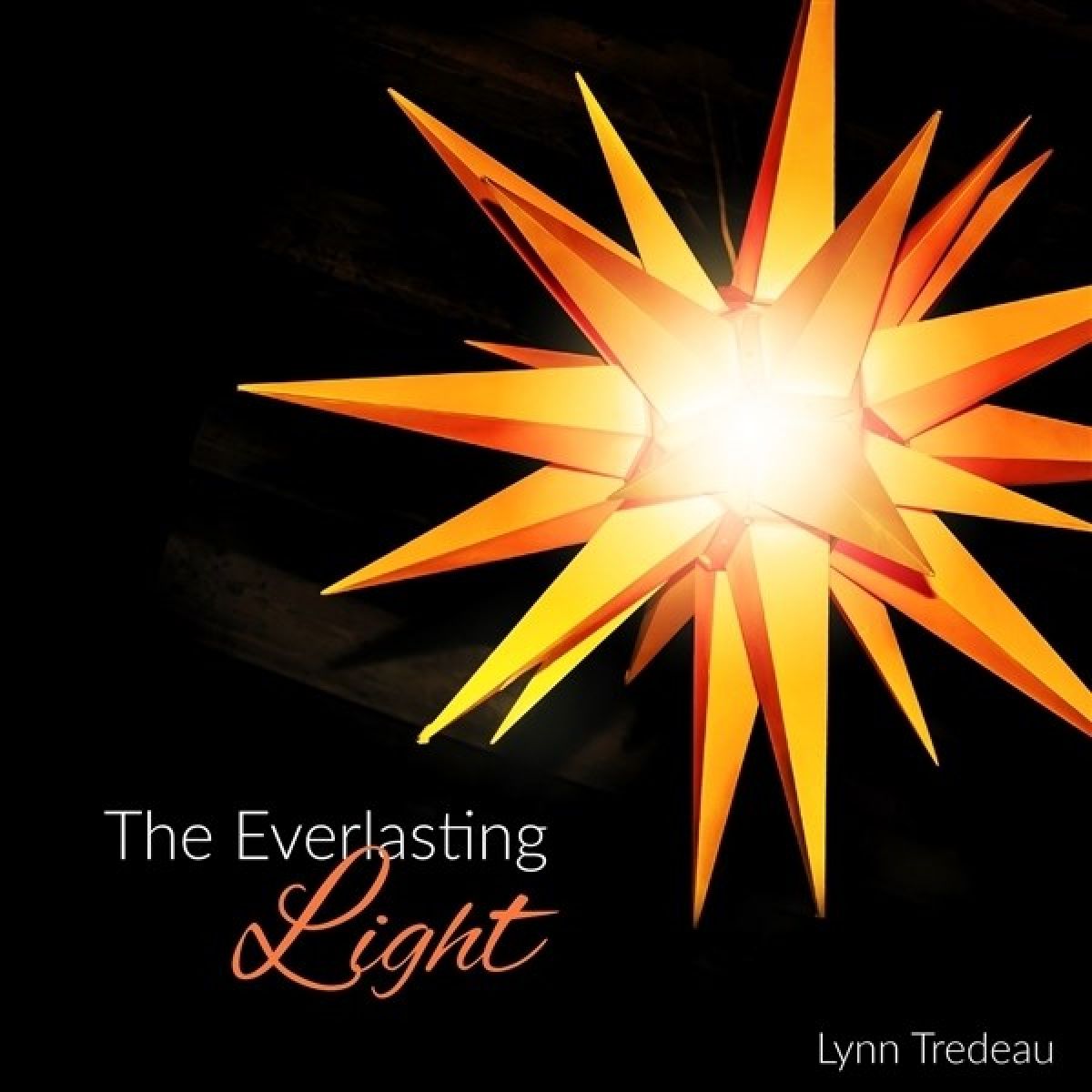 Afbeelding van Lynn Tredeau - The Everlasting Light