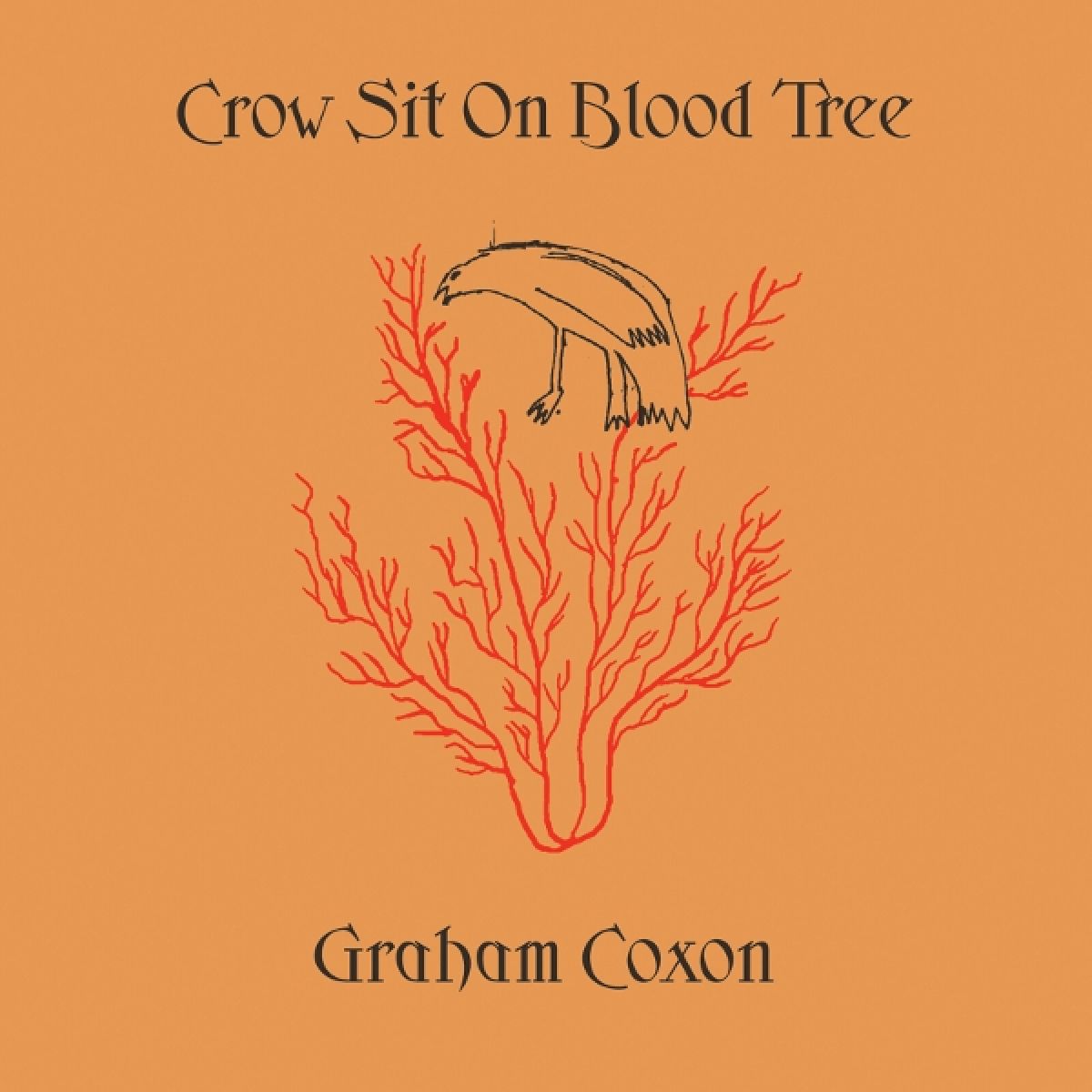 Afbeelding van Graham Coxon - Crow Sit On Blood Tree