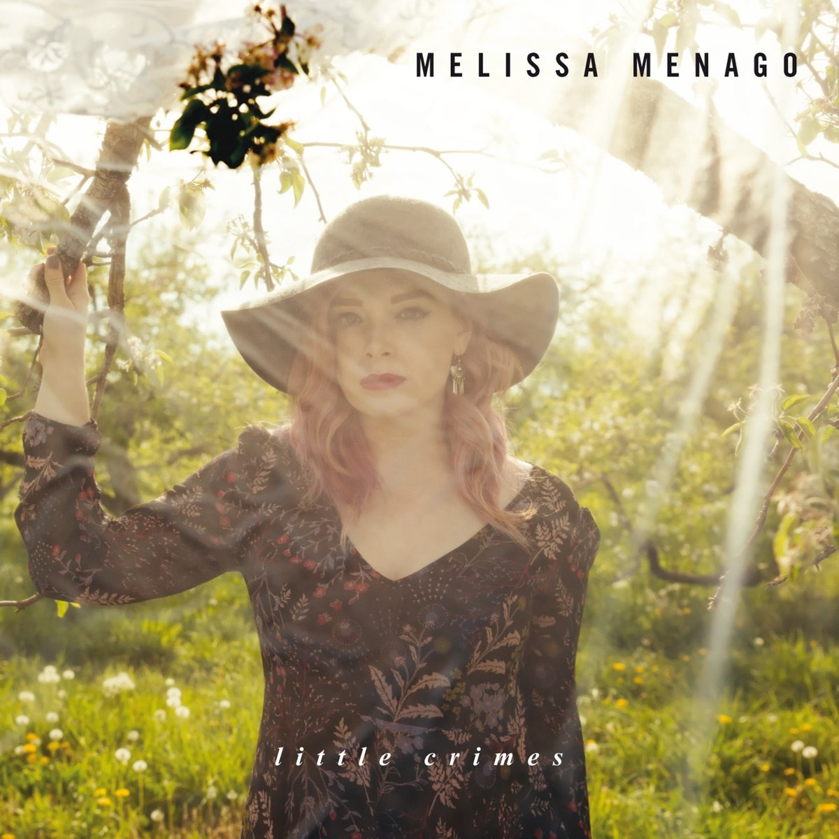 Afbeelding van Melissa Menago - Little Crimes