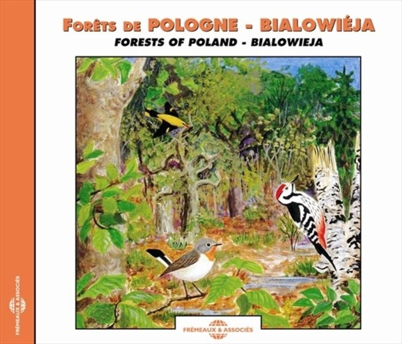 Sound Effects Birds - Forests Of Poland - Bialowieja