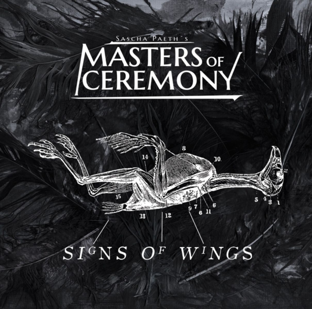 Afbeelding van Sascha Paeth's Masters Of Ceremony - Signs Of Wings
