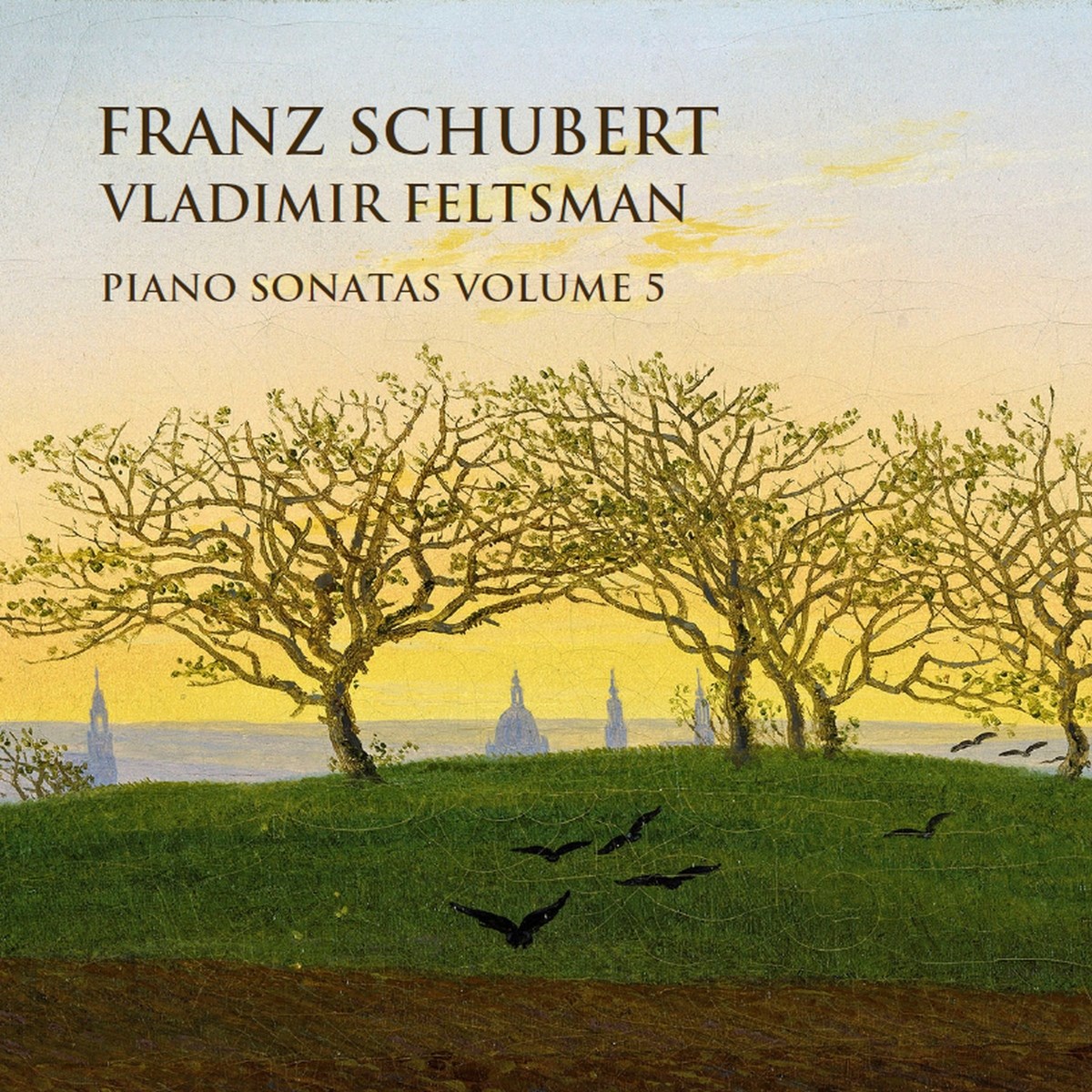 Afbeelding van Vladimir Feltsman - Schubert: Piano Sonatas Volume 5