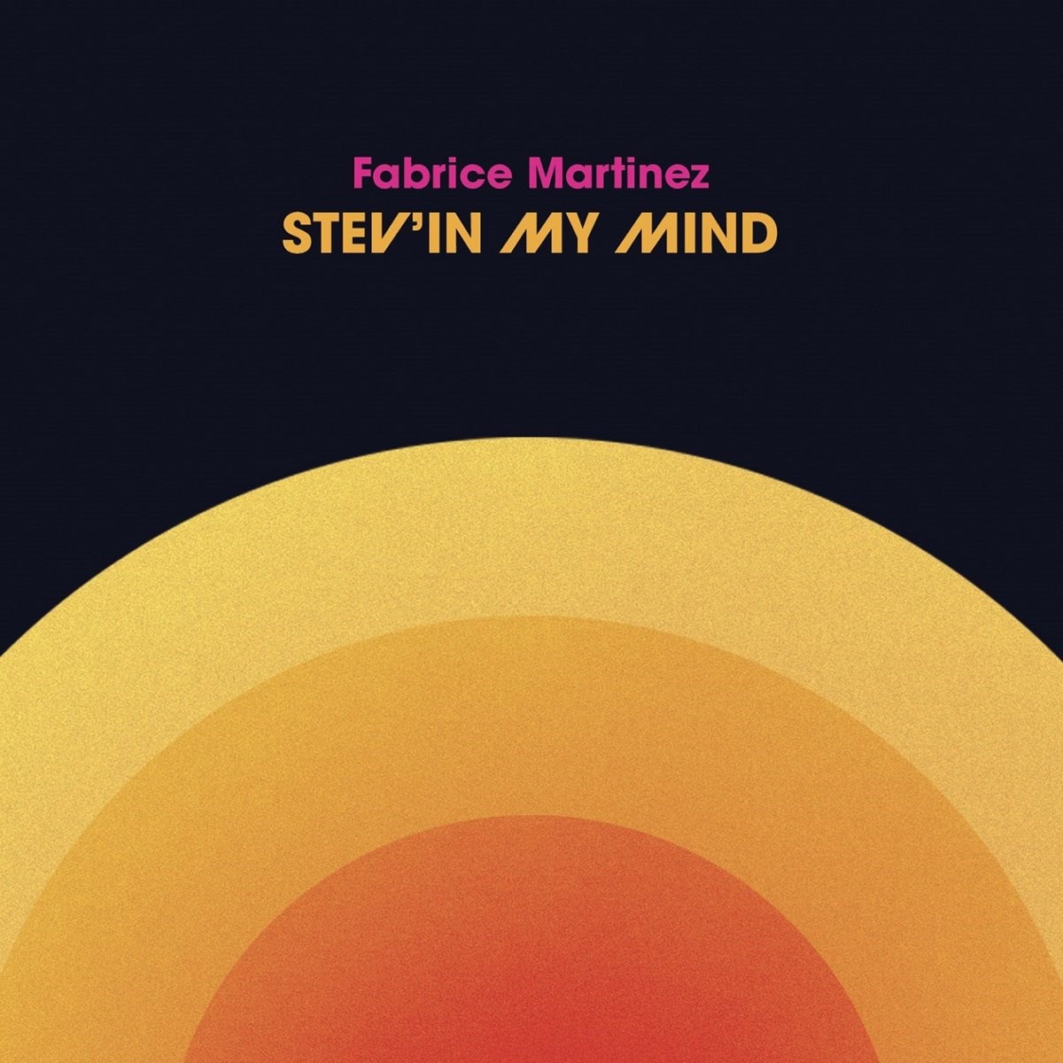 Afbeelding van Fabrice Martinez - Stev'in My Mind