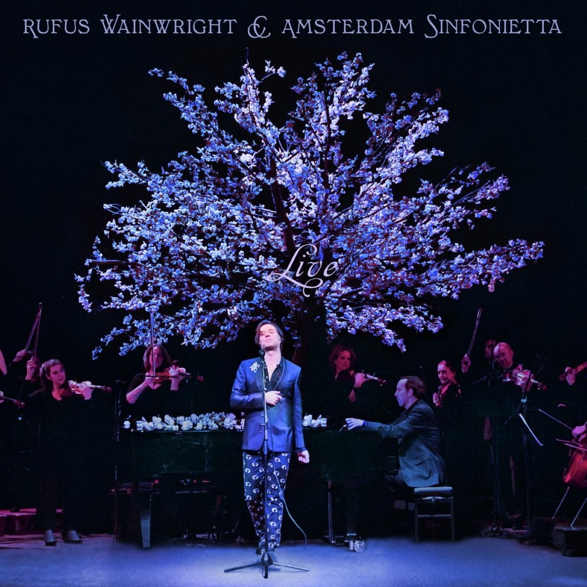 Rufus Wainwright & Amsterdam Sinfonietta - Rufus Wainwright And Amsterdam Sinfonietta Live