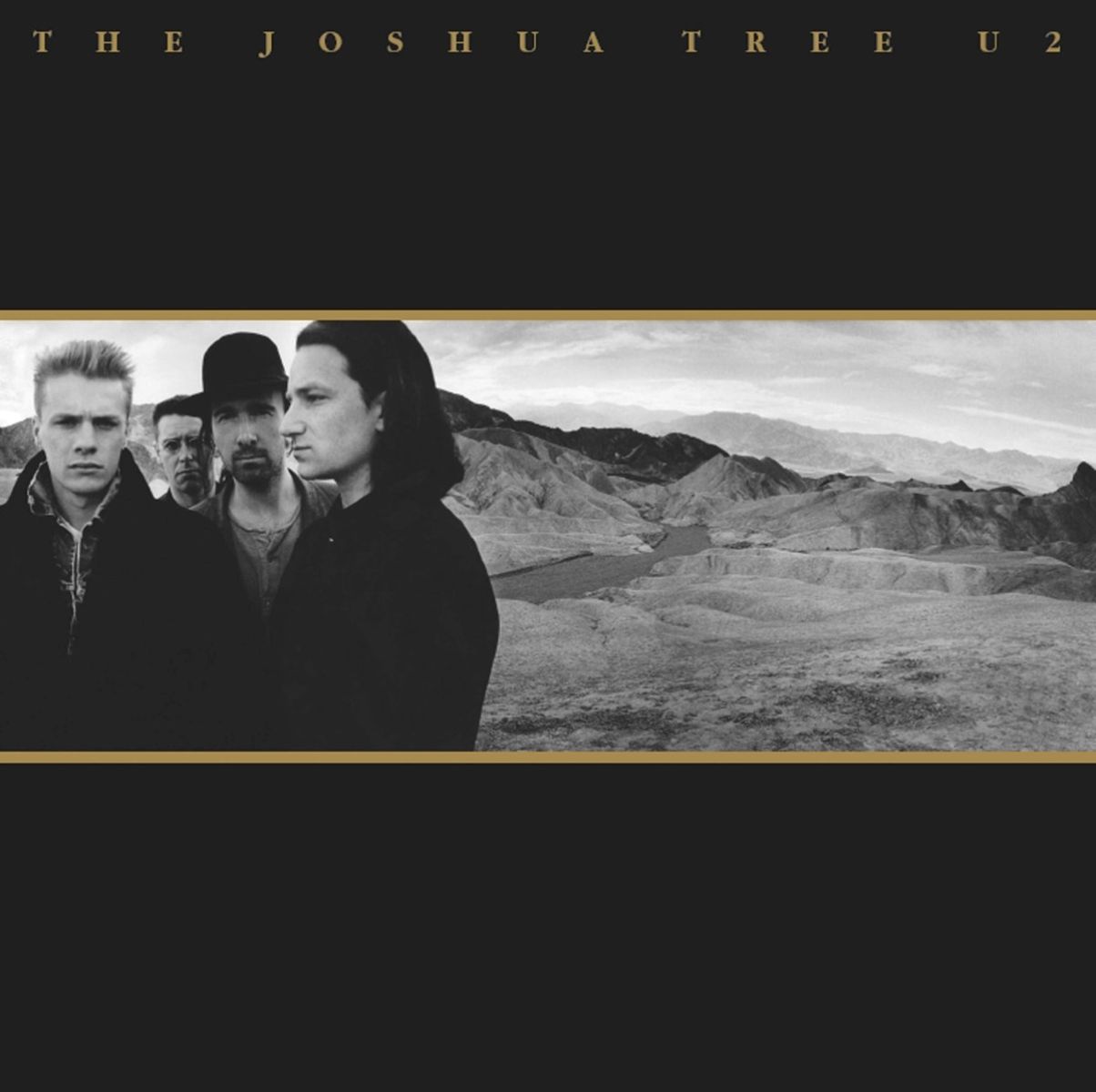 Afbeelding van The Joshua Tree