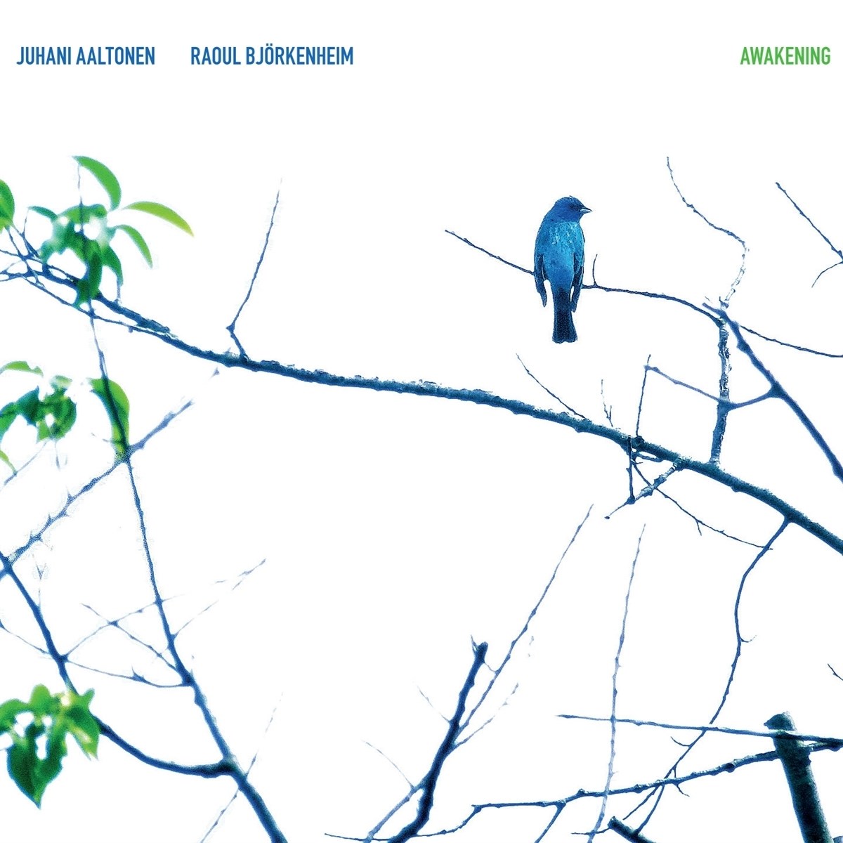 Juhani Aaltonen & Raoul Björkenheim - Awakening