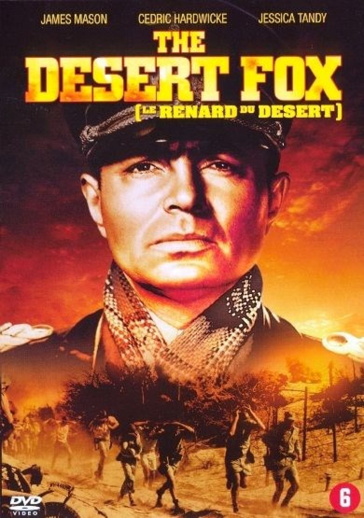 Afbeelding van Desert fox
