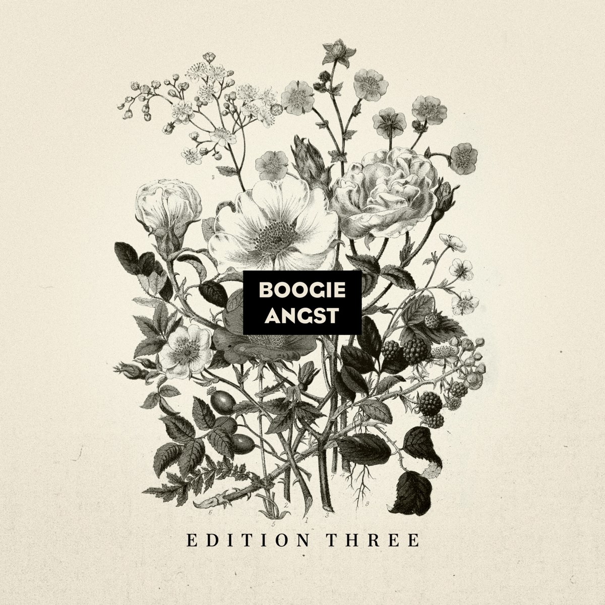 Afbeelding van Various Artists - Boogie Angst Edition Three