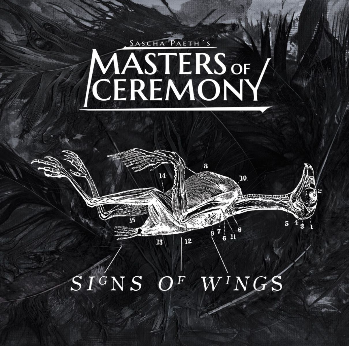 Afbeelding van Sascha Paeths Masters Of Ceremony - Signs Of Wings
