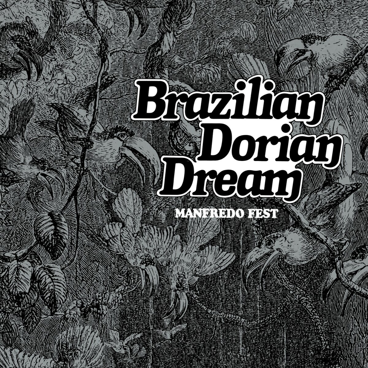 Afbeelding van Manfredo Fest - Brazilian Dorian Dream (1976)