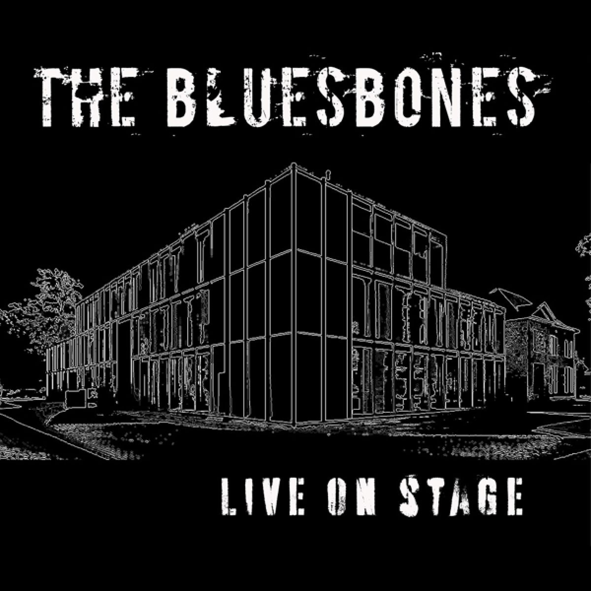 Afbeelding van The Bluesbones - Live On Stage