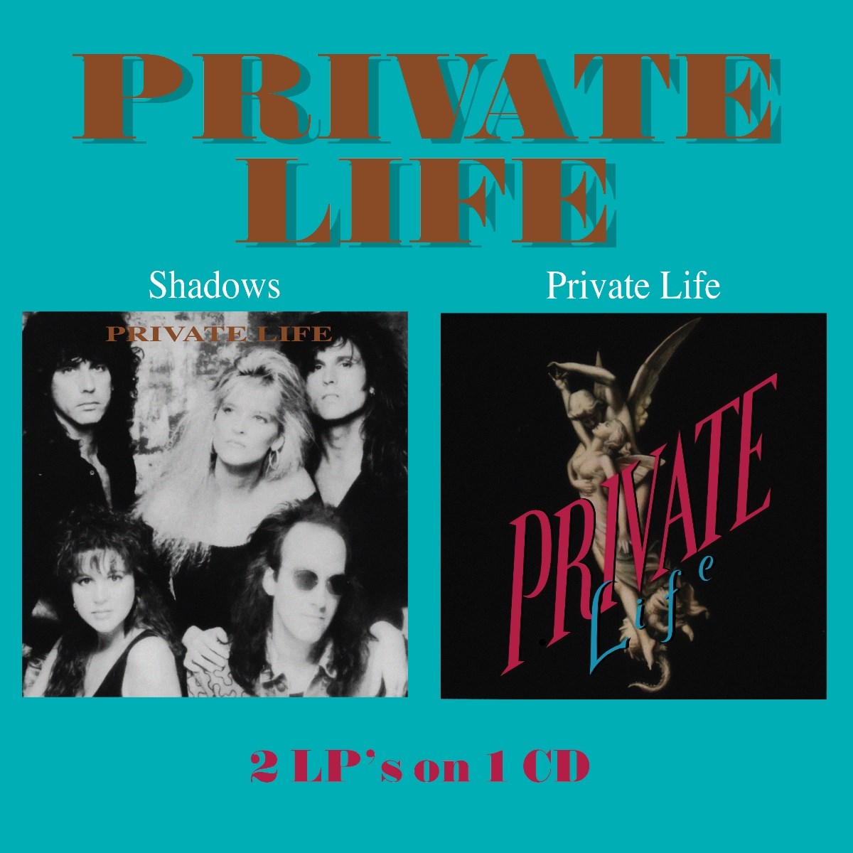 Afbeelding van Private Life - Shadows / Private Life