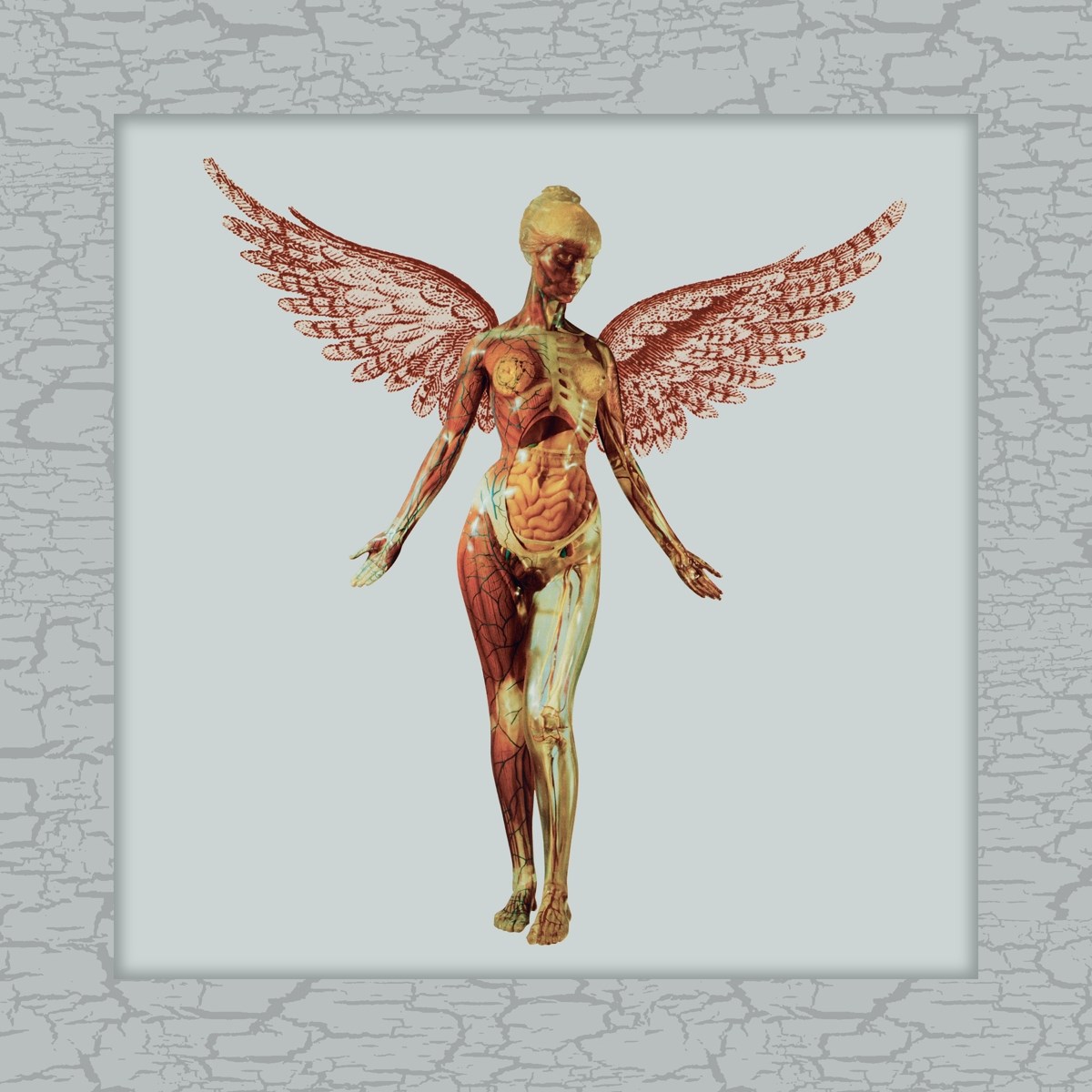 Afbeelding van Nirvana - In Utero