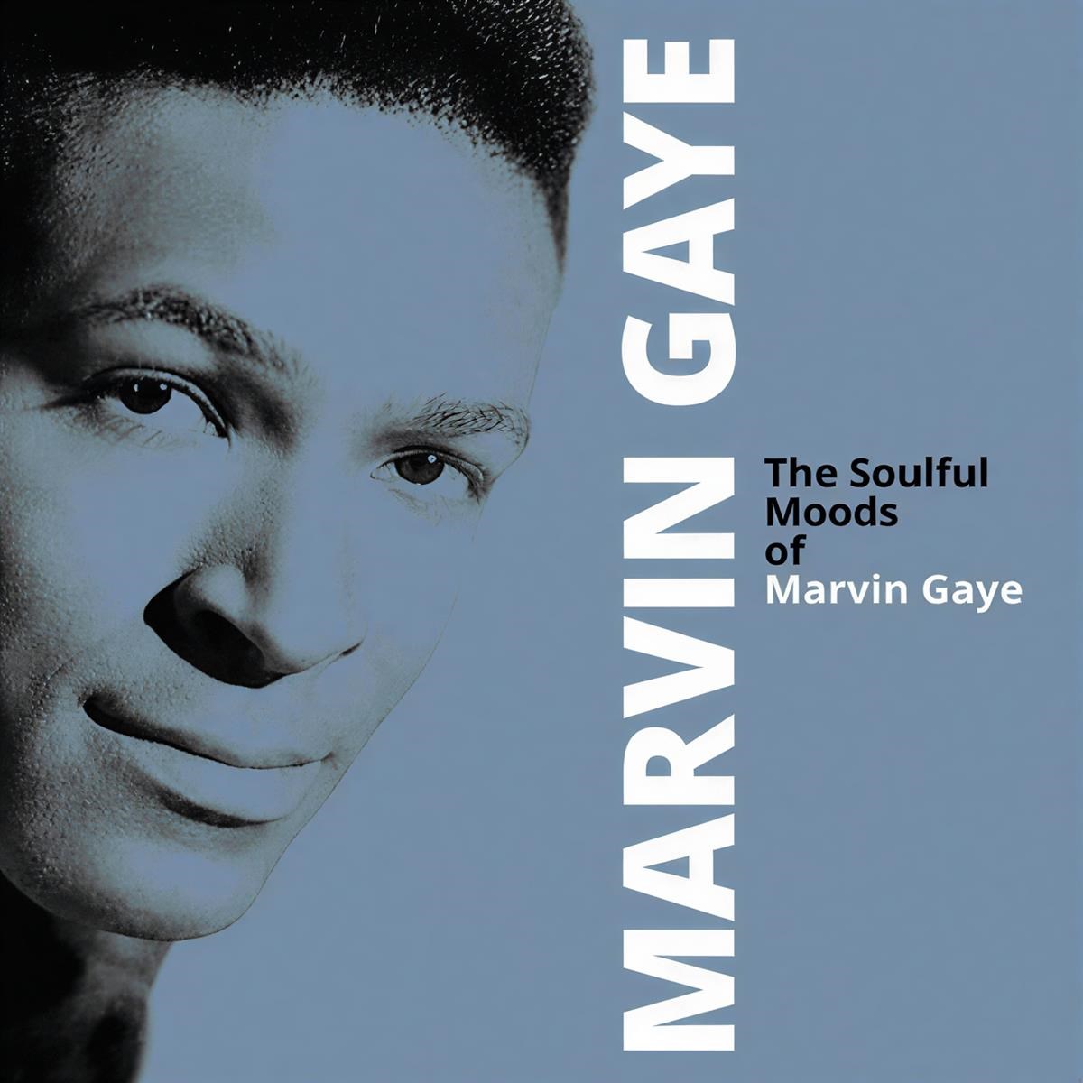 Afbeelding van Marvin Gaye - The Soulful Moods Of Marvin Gaye