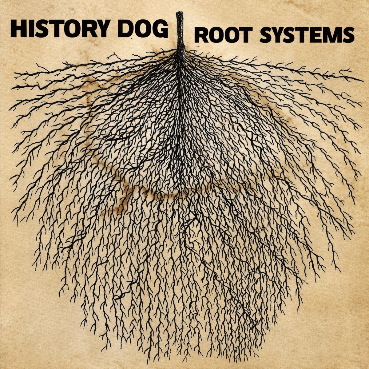 Afbeelding van History Dog - Root Systems