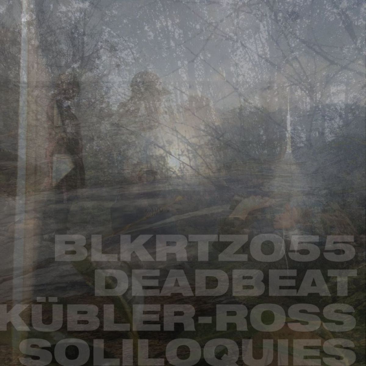 Afbeelding van Deadbeat - Kubler-Ross Soliloquies