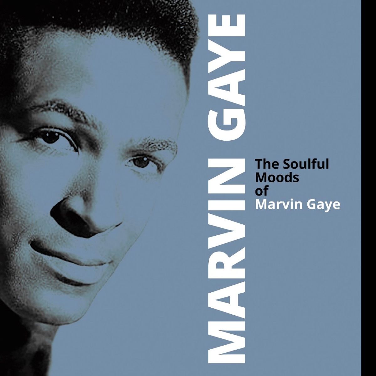 Afbeelding van Marvin Gaye - The Soulful Moods Of Marvin Gaye