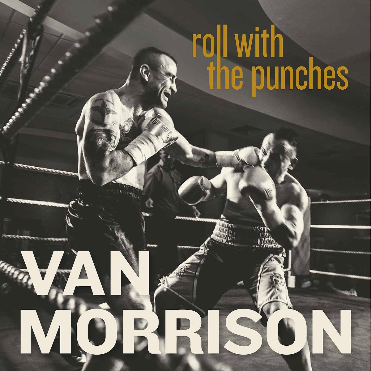 Afbeelding van Van Morrison - Roll With The Punches