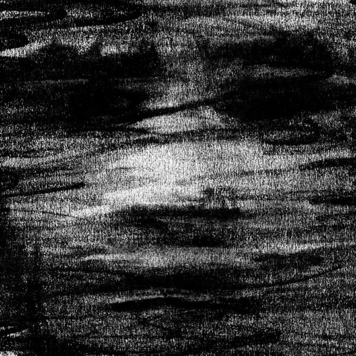 Afbeelding van Born Erased - Birds Drink My Blood