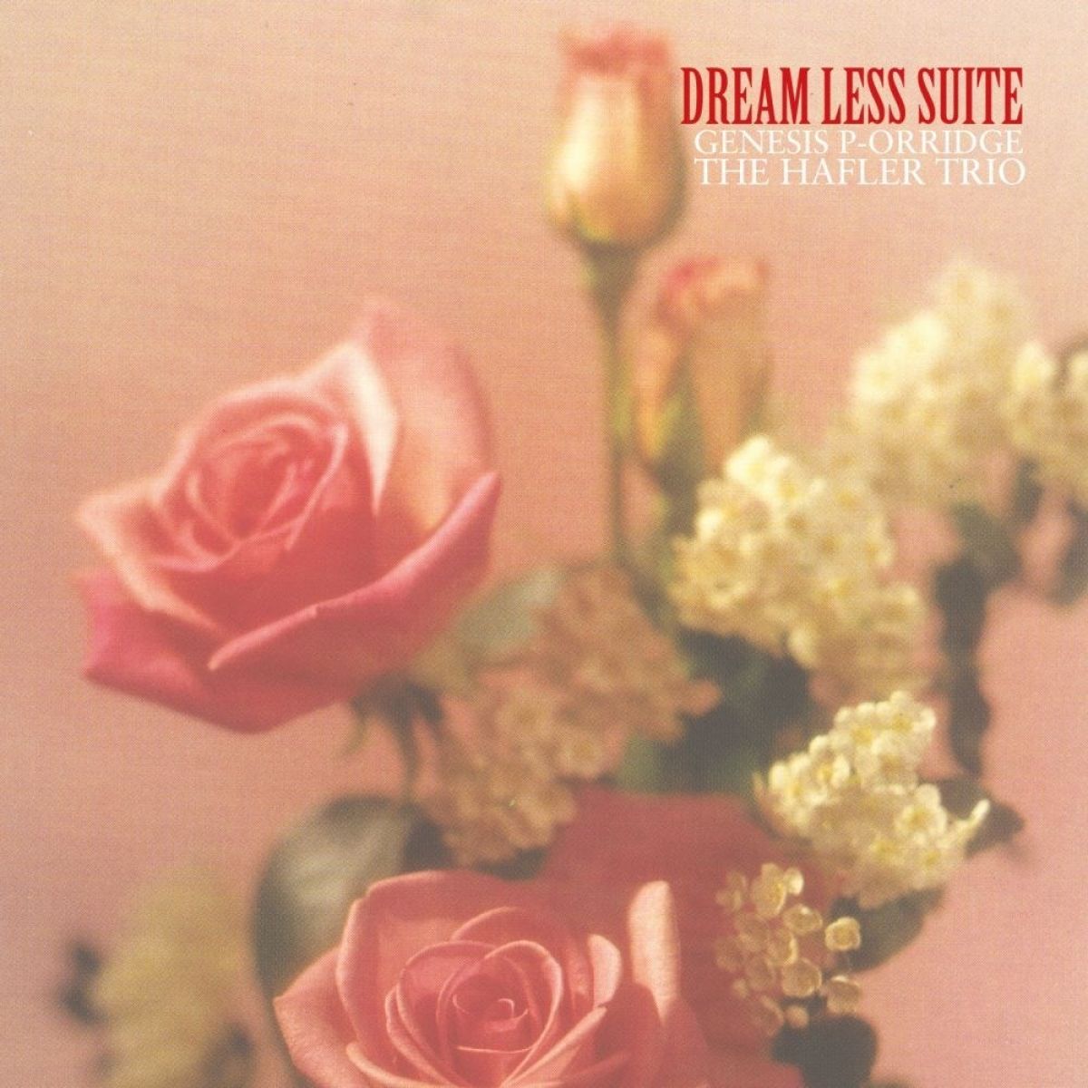 Genesis P-Orridge & The Hafler Trio - Dream Less Suite