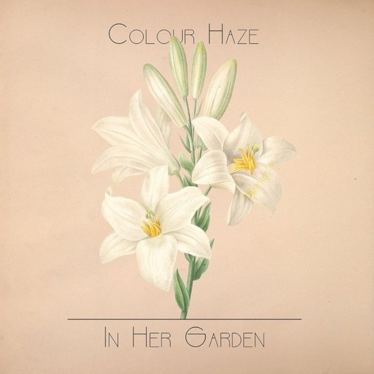 Afbeelding van Colour Haze - In Her Garden