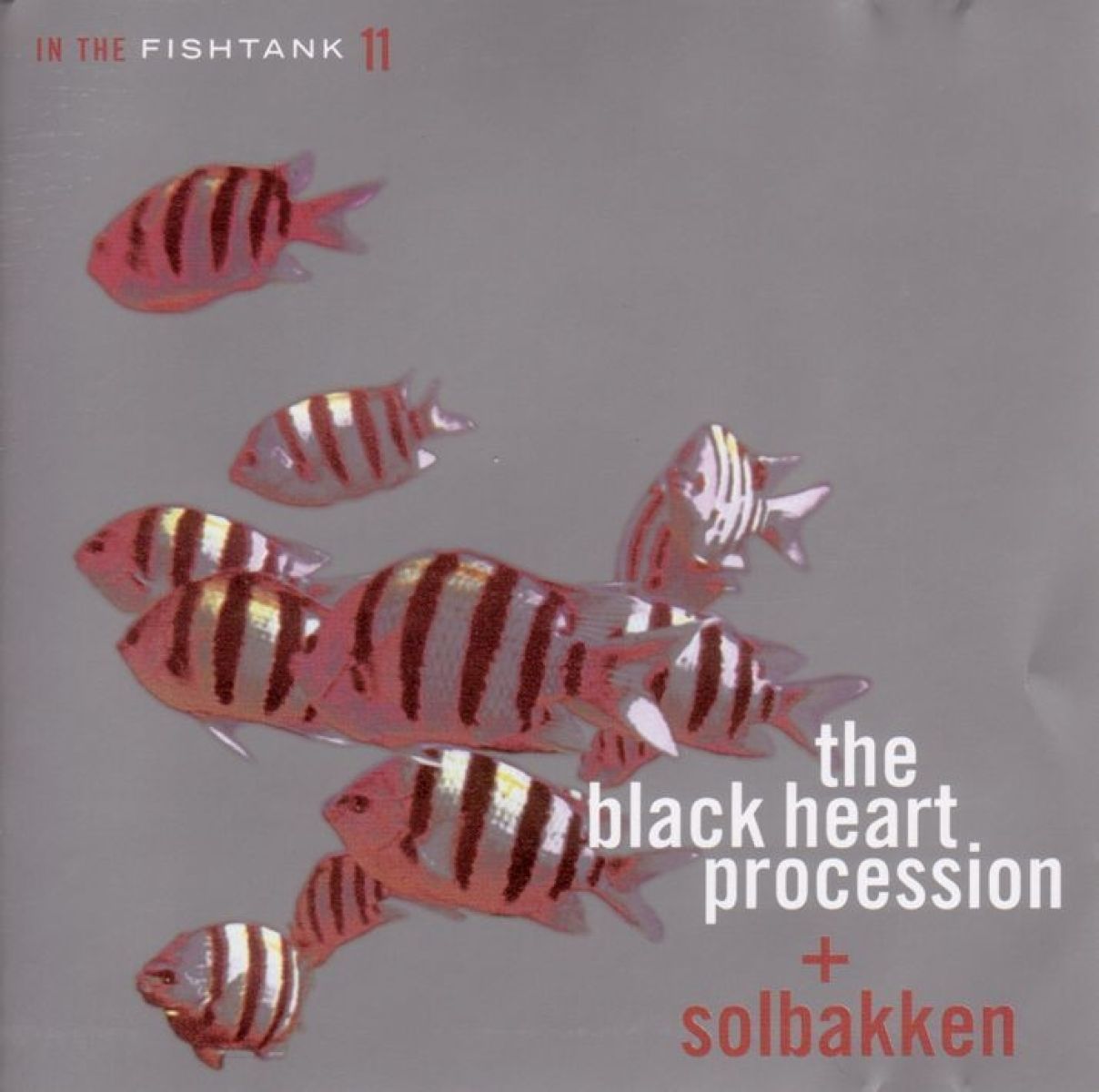 Afbeelding van The Black Heart Procession + Solbakken - In The Fishtank