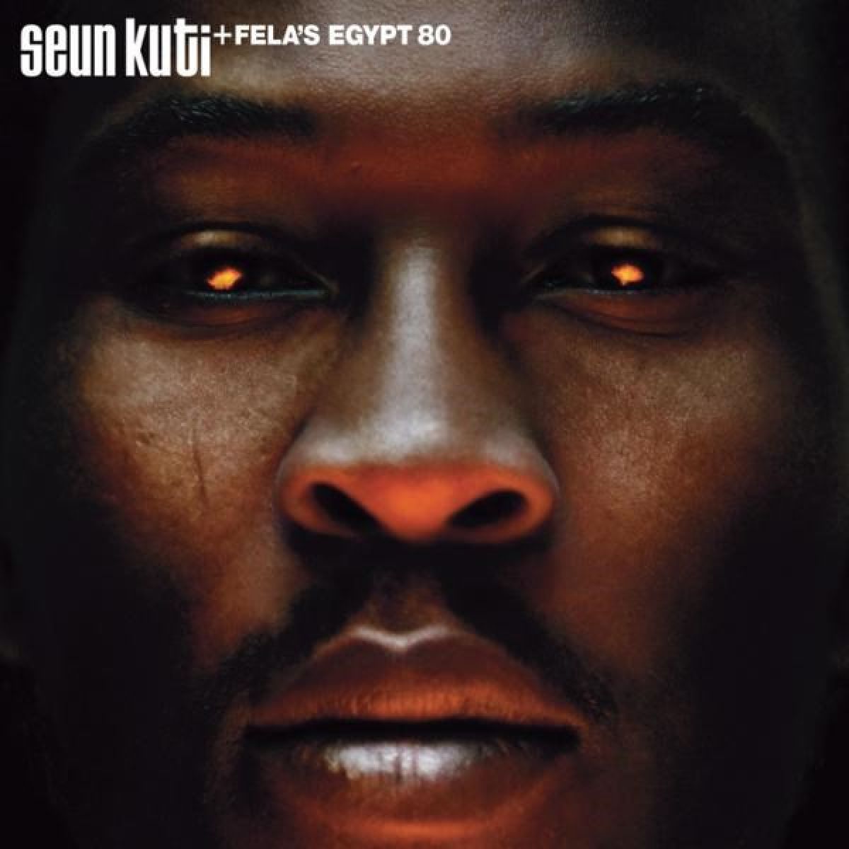 Afbeelding van Seun Kuti & Fela's Egypt 80 - Many Things