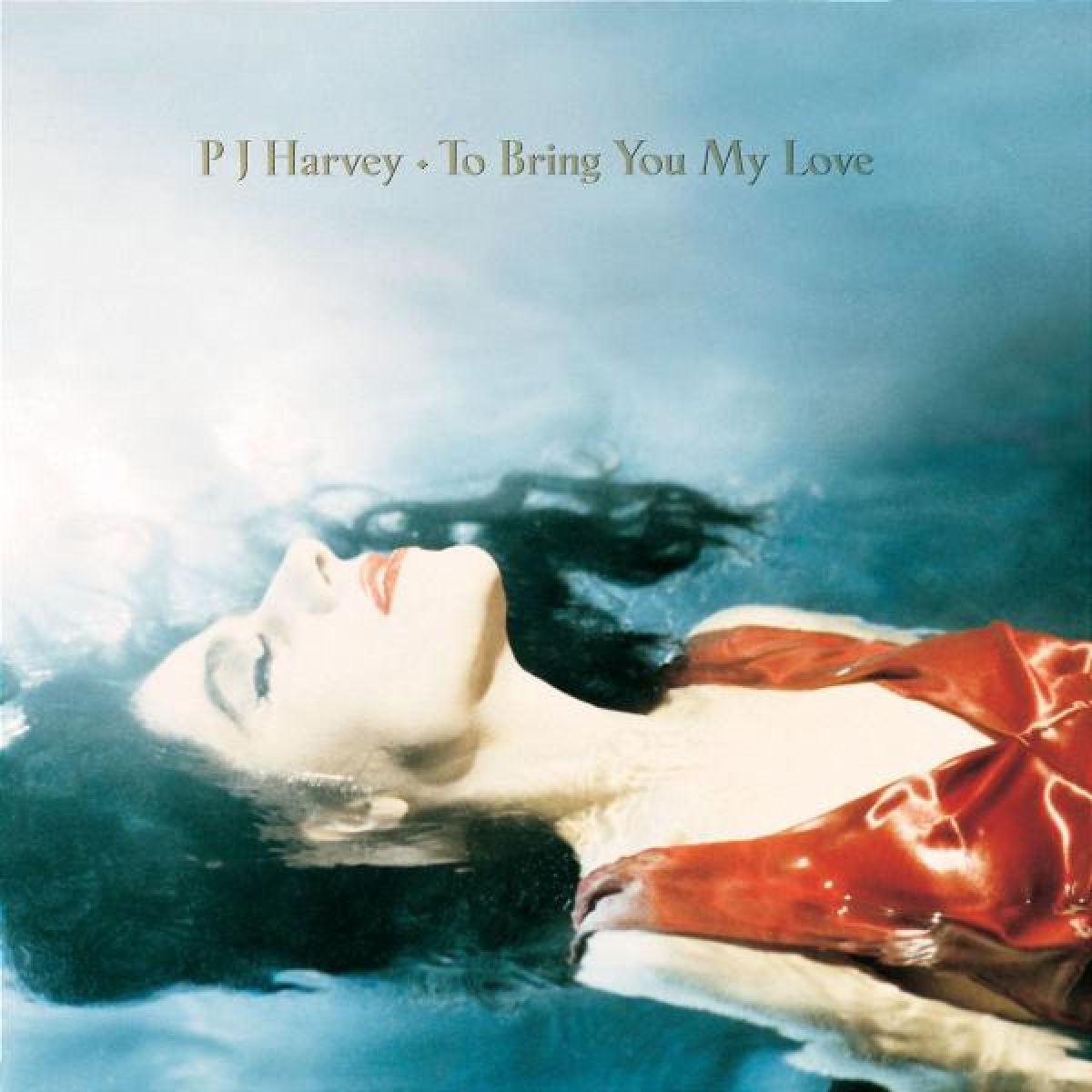 Afbeelding van PJ Harvey - To Bring You My Love