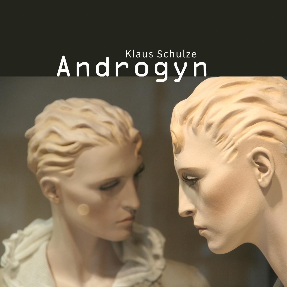 Afbeelding van Klaus Schulze - Androgyn