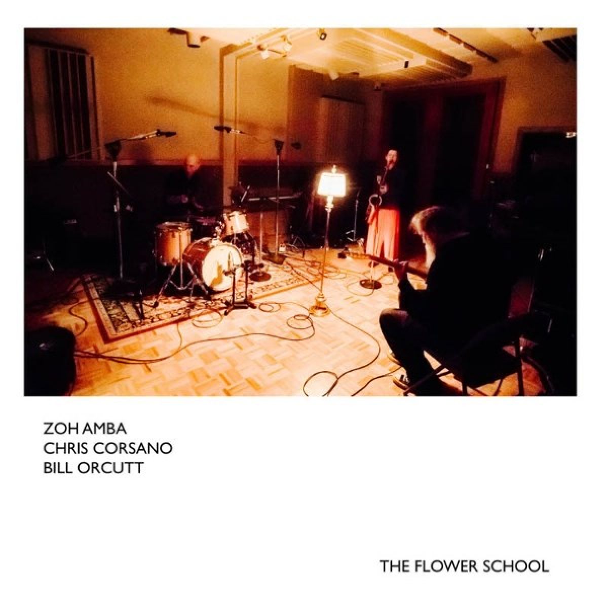 Bill Orcutt, Chris Corsano & Zoh Amba - The Flower School