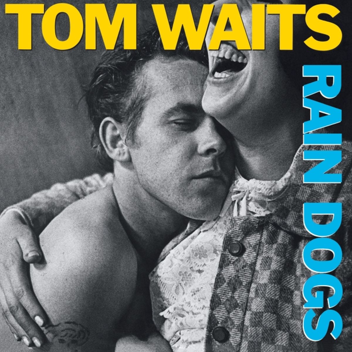 Afbeelding van Tom Waits - Rain Dogs