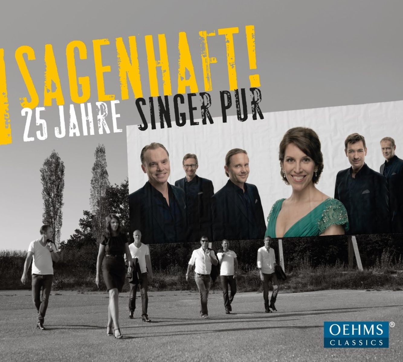 Afbeelding van 25 Jahre Singer Pur