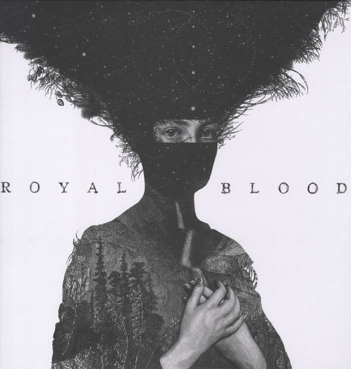 Afbeelding van Royal Blood - Royal Blood