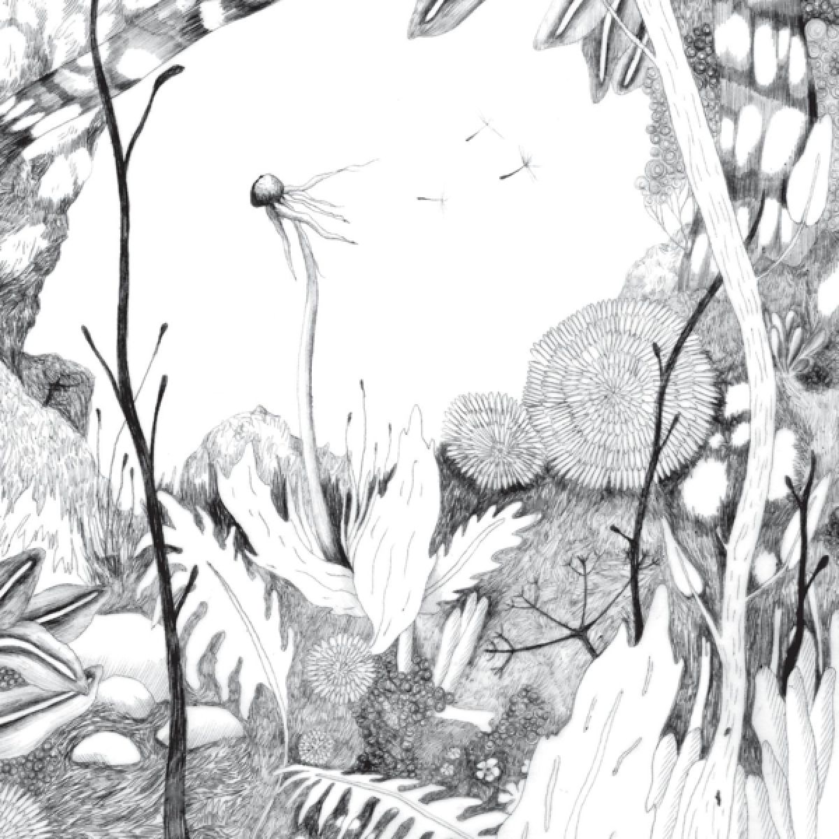 Afbeelding van Back & Forth - Time Whispers
