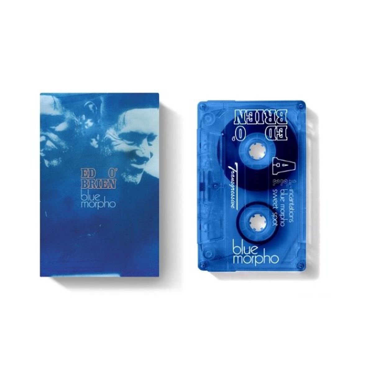 Afbeelding van Ed O'Brien - Blue Morpho