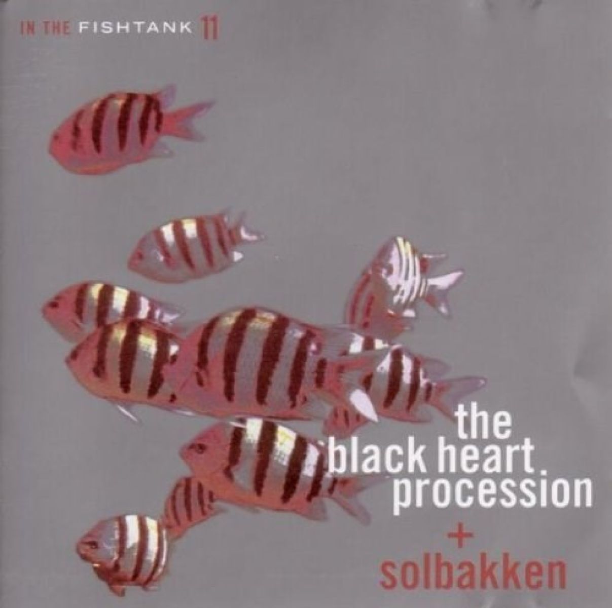 Afbeelding van Black Heart Procession + Solbakken - In The Fishtank
