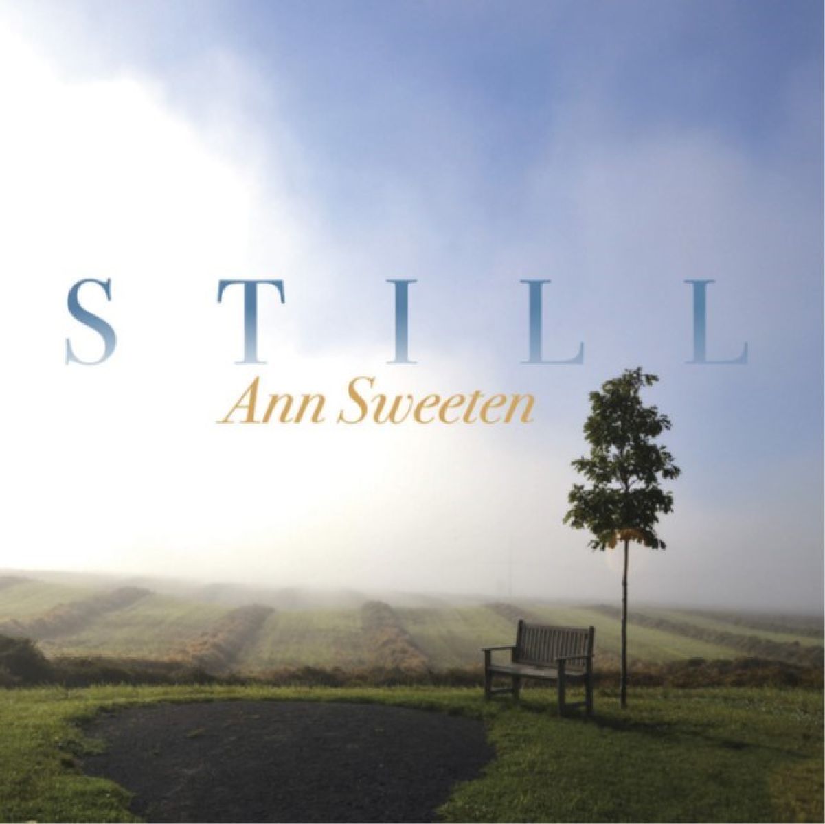 Ann Sweeten - Still