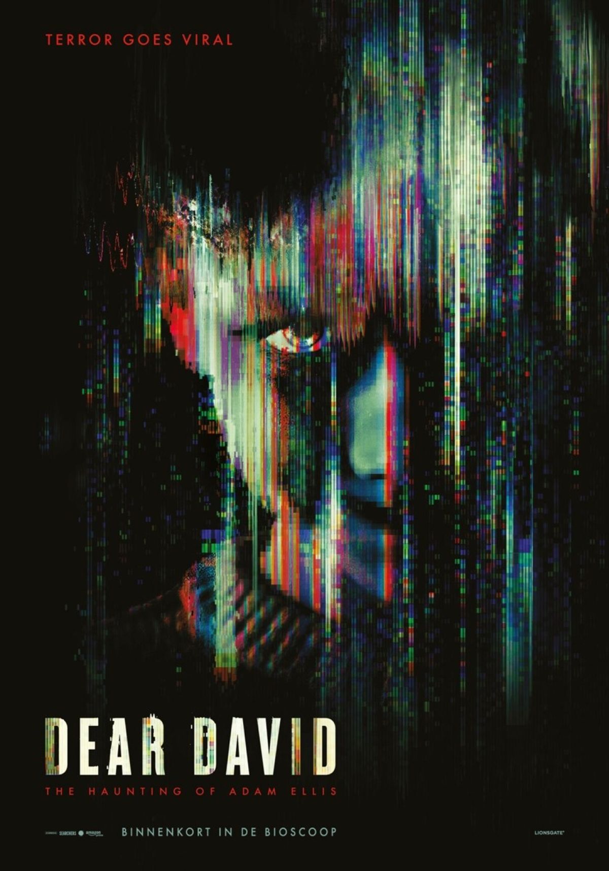 Afbeelding van Dear David