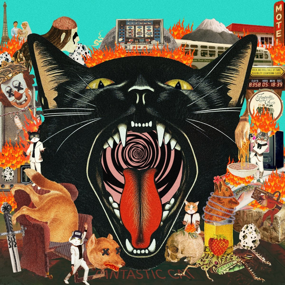 Afbeelding van Fantastic Cat - Cat Out Of Hell
