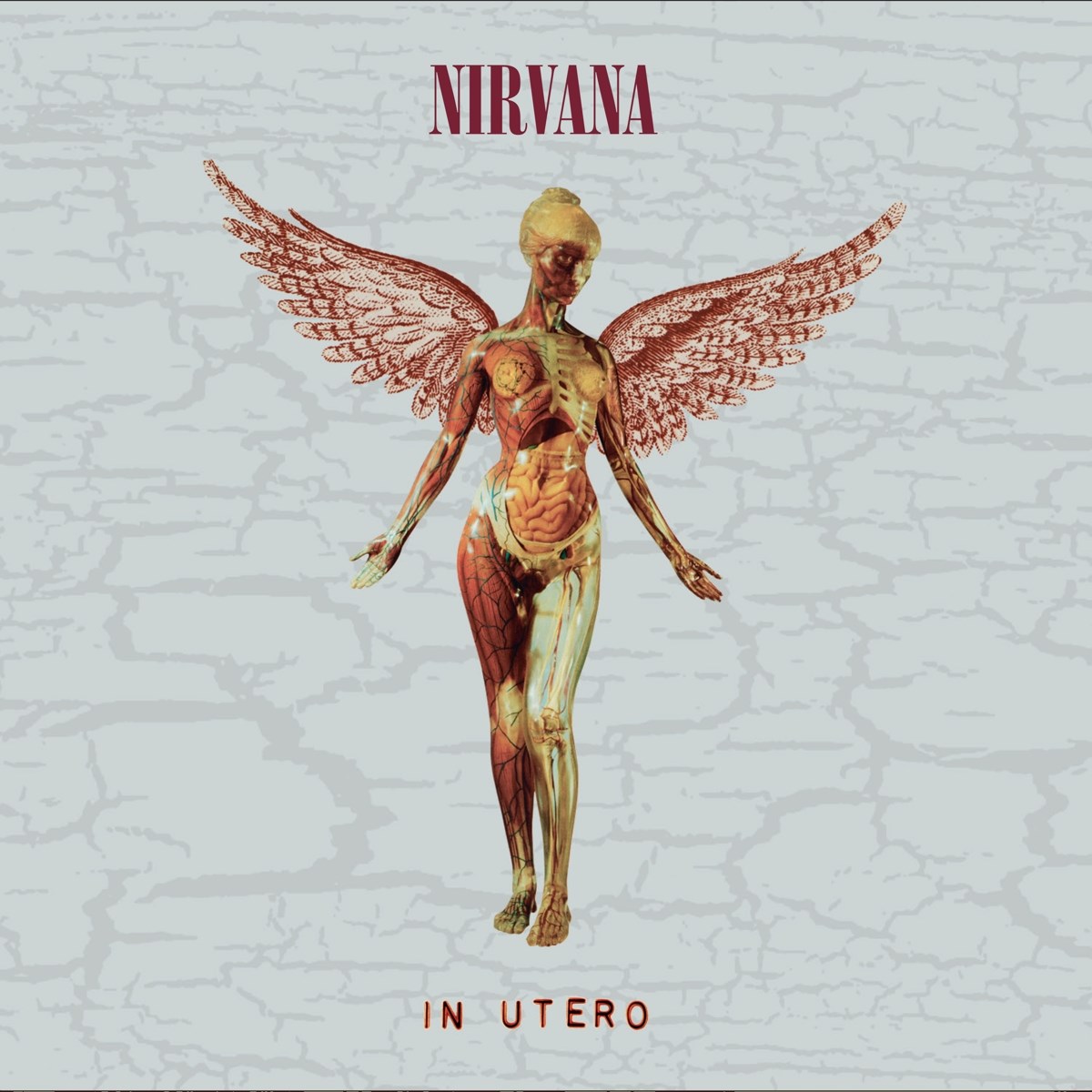 Afbeelding van In Utero