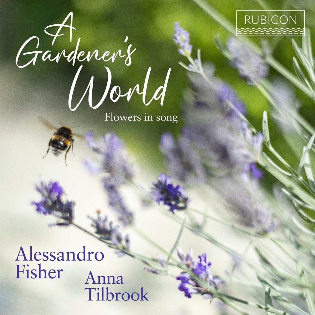 Afbeelding van Alessandro Fisher Anna Tilbrook - A Gardeners World