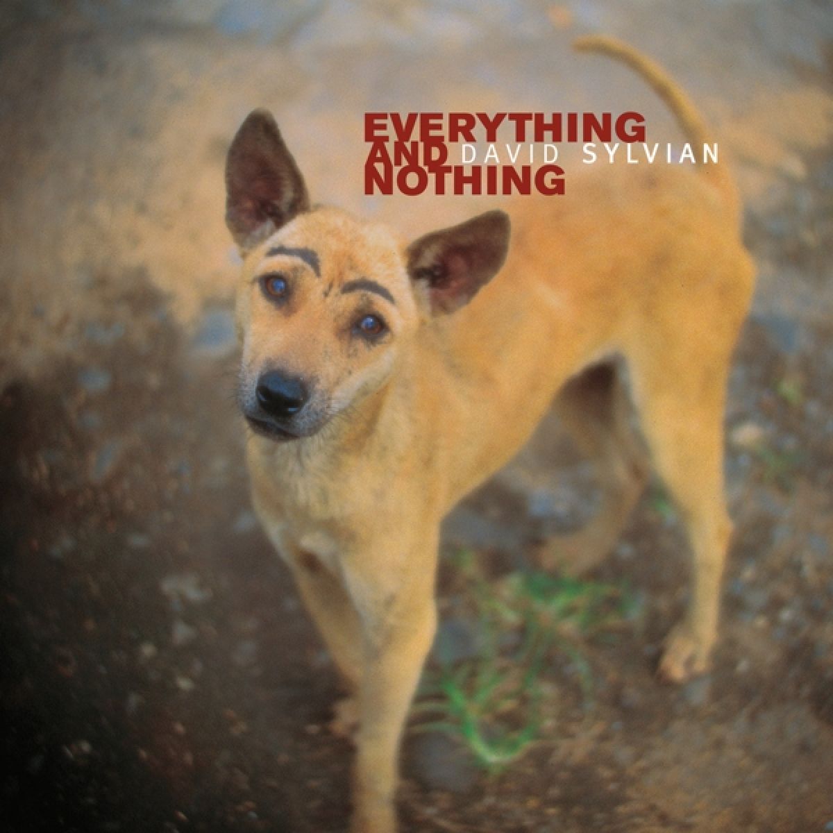 Afbeelding van Everything & Nothing
