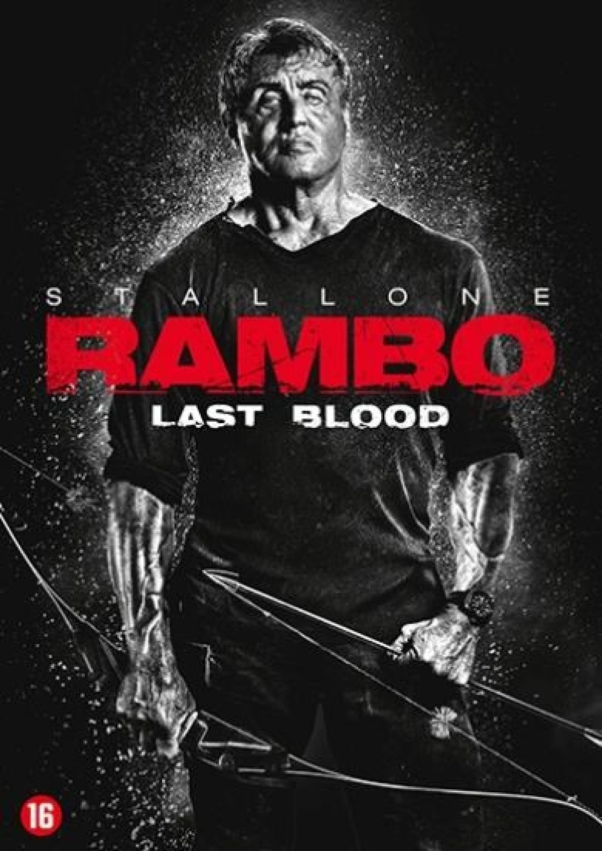 Afbeelding van Rambo - Last Blood