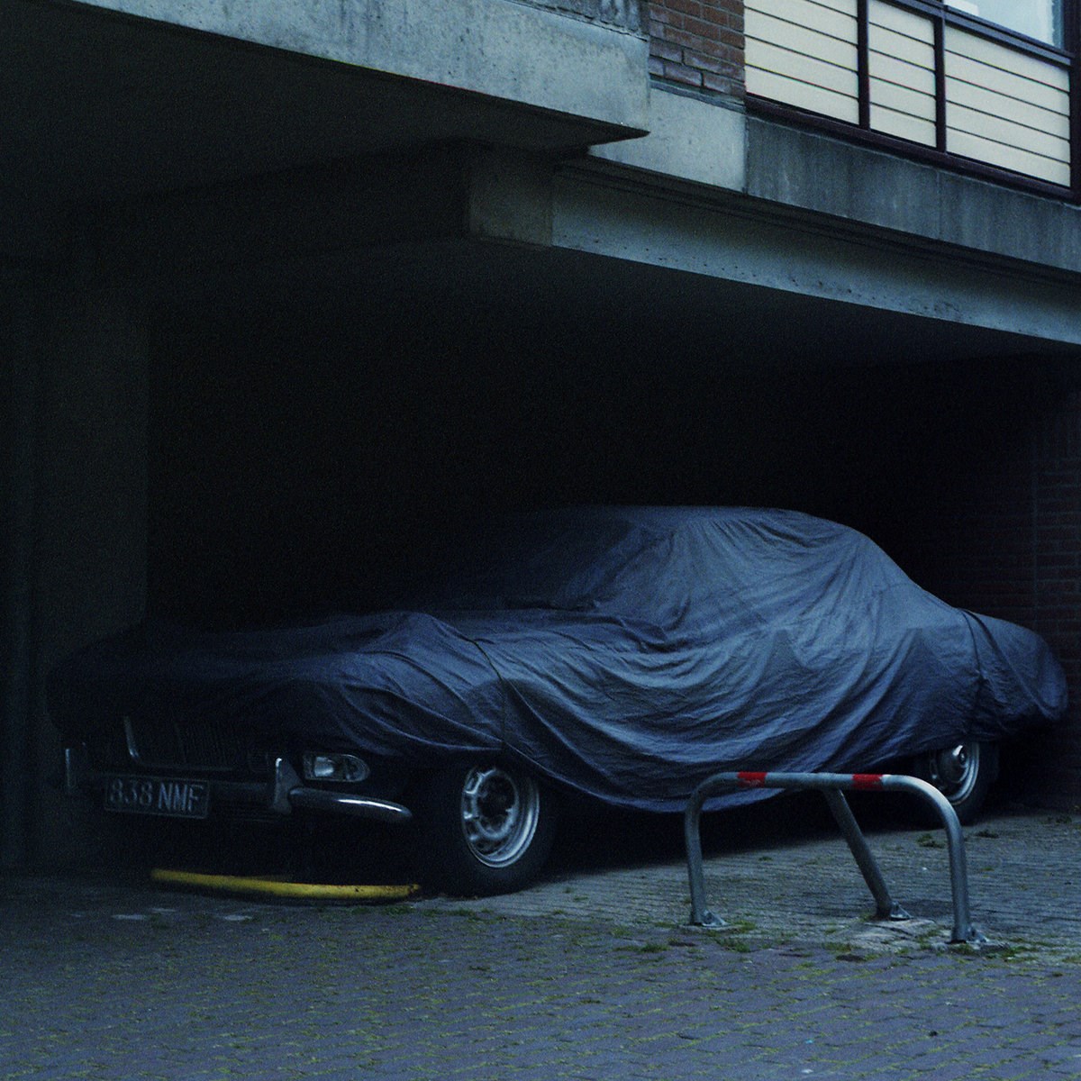 Black Bones - Night Drives