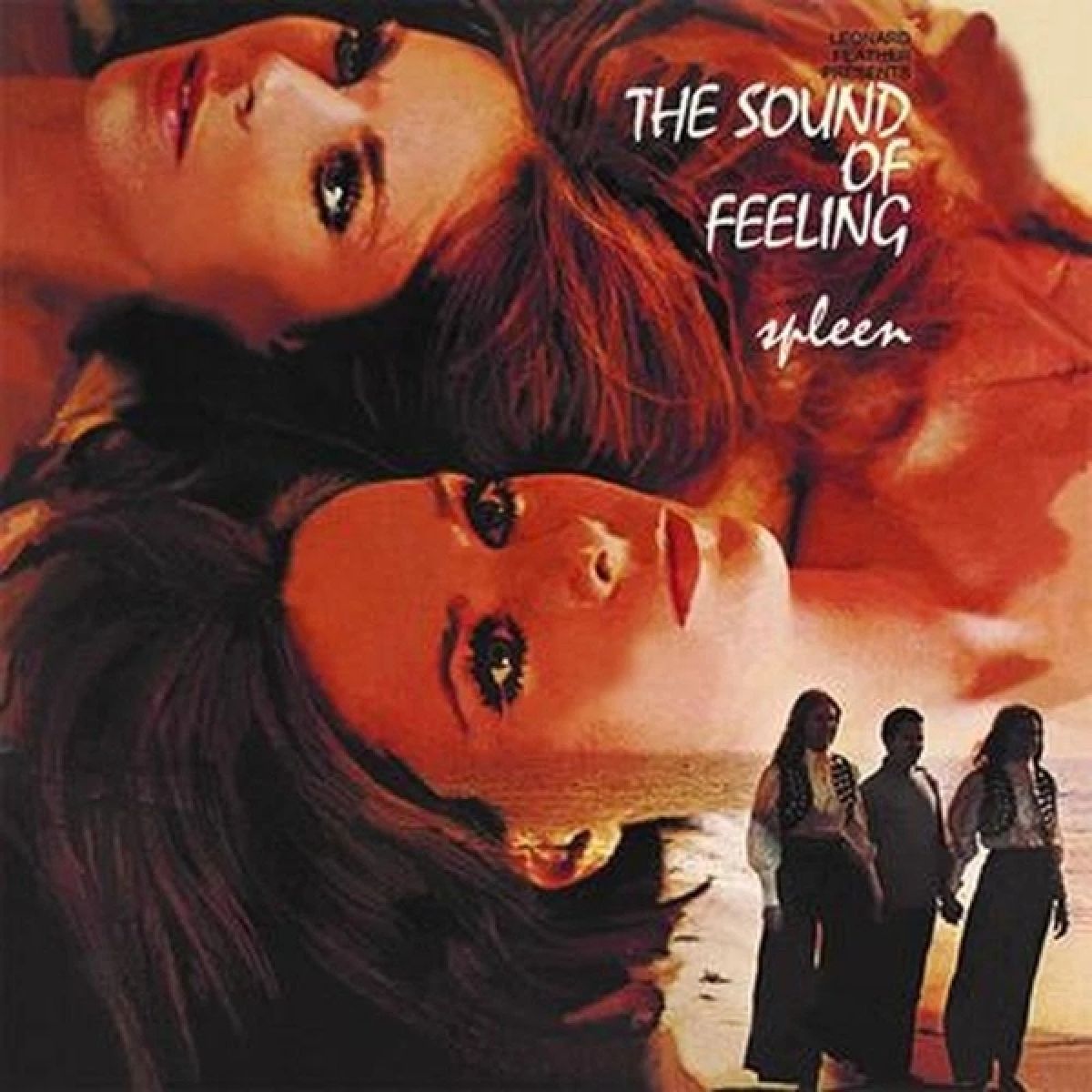 Afbeelding van The Sound Of Feeling - Spleen
